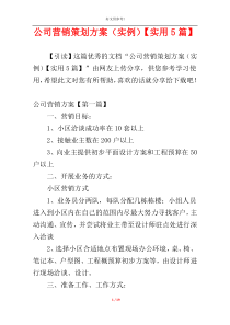 公司营销策划方案（实例）【实用5篇】