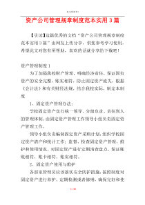 资产公司管理规章制度范本实用3篇