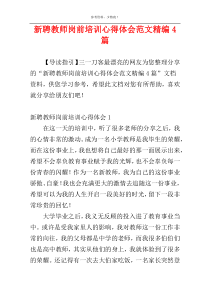 新聘教师岗前培训心得体会范文精编4篇