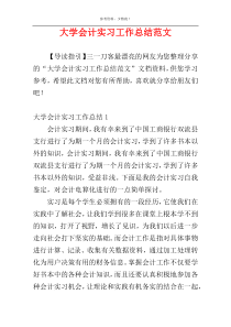 大学会计实习工作总结范文