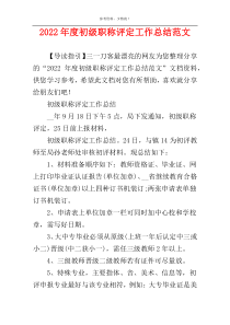 2022年度初级职称评定工作总结范文