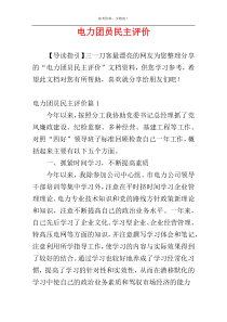 电力团员民主评价