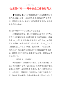 幼儿园小班十一月份安全工作总结范文