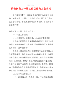 销售新员工一周工作总结范文怎么写