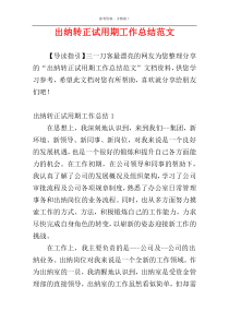 出纳转正试用期工作总结范文