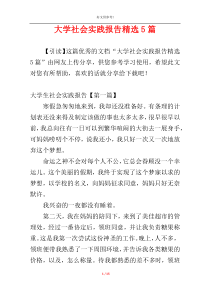 大学社会实践报告精选5篇
