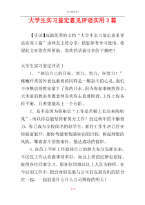 大学生实习鉴定意见评语实用3篇