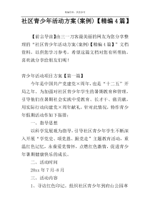 社区青少年活动方案(案例)【精编4篇】