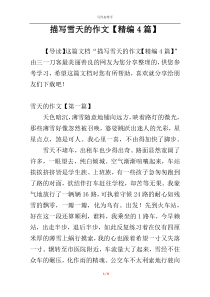 描写雪天的作文【精编4篇】