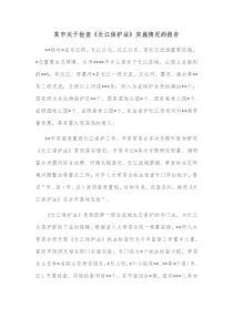 某市关于检查长江保护法实施情况的报告