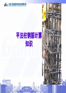 柱应用培训-广联达内部培训资料