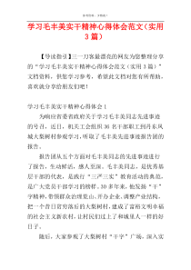 学习毛丰美实干精神心得体会范文（实用3篇）
