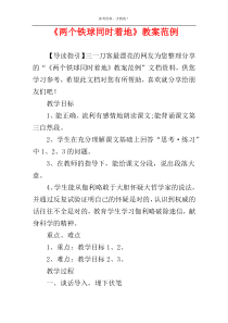 《两个铁球同时着地》教案范例