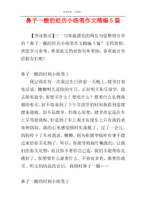 鼻子一酸的经历小练笔作文精编5篇