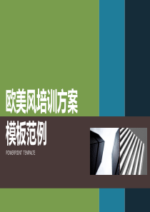 欧美风培训方案范例
