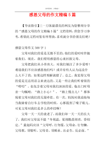 感恩父母的作文精编5篇