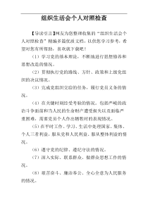 组织生活会个人对照检查