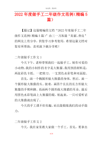 2022年度做手工二年级作文范例（精编5篇）