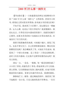 [800字]什么那一刻作文