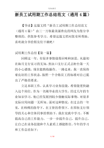 新员工试用期工作总结范文（通用4篇）