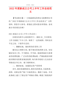2022年度新成立公司上半年工作总结范文