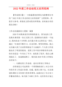 2022年度工作总结范文实用范例