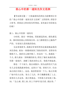 我心中的那一道阳光作文范例