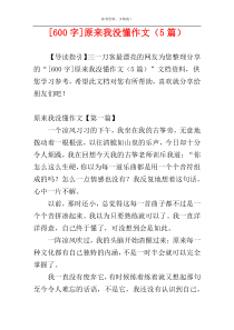[600字]原来我没懂作文（5篇）