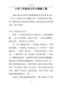 小学三年级语文作文精编3篇