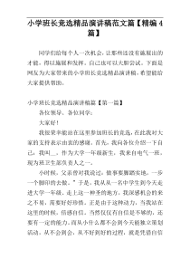 小学班长竞选精品演讲稿范文篇【精编4篇】