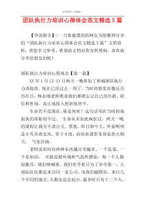 团队执行力培训心得体会范文精选5篇