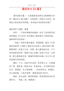 遇见作文【4篇】