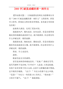 [800字]破茧成蝶的那一刻作文
