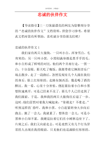 忠诚的伙伴作文