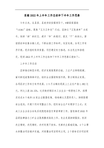 某镇2022年上半年工作总结和下半年工作思路