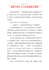 挂职干部个人工作总结范文范例