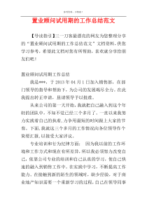 置业顾问试用期的工作总结范文
