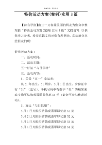 特价活动方案(案例)实用3篇