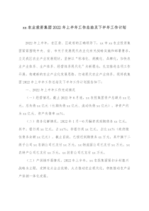 xx农业投资集团2022年上半年工作总结及下半年工作计划