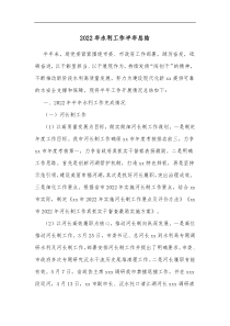 2022年水利工作半年总结