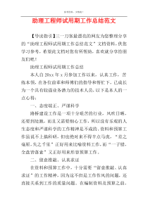 助理工程师试用期工作总结范文