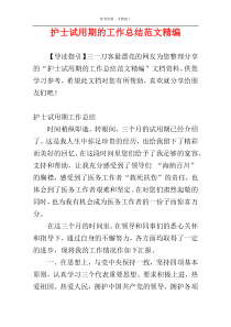 护士试用期的工作总结范文精编