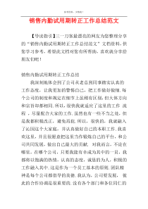 销售内勤试用期转正工作总结范文