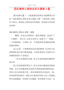 团队精神心得体会范文最新4篇