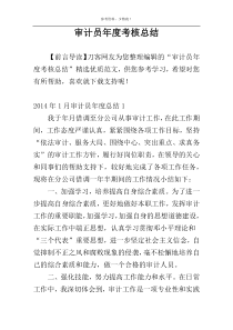 审计员年度考核总结