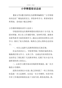 小学寒假培训总结