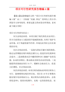 项目可行性研究报告精编4篇