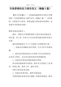 市场营销的实习报告范文（精编5篇）