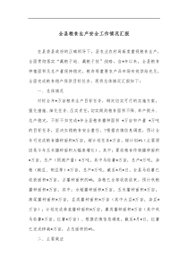 全县粮食生产安全工作情况汇报 (24)