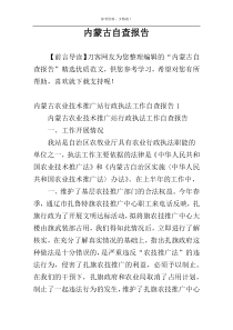 内蒙古自查报告